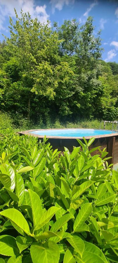 Villa Maison Piscine Saint-Amarin Exterior foto